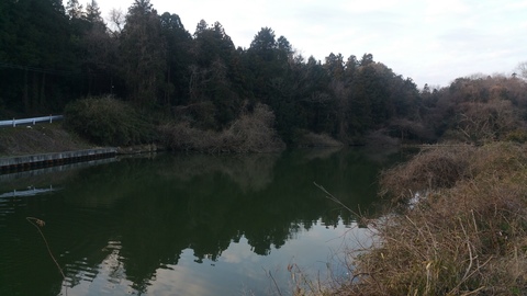 20160312_064010.jpg